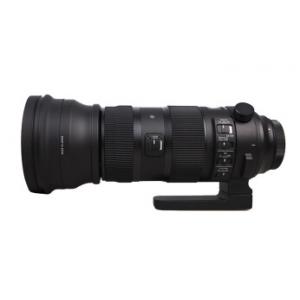 适马（SIGMA）150-600mm F5-6.3 DG OS HSM｜Sports 全画幅 超远摄变焦镜头  打鸟拍荷花（尼康单反卡口）